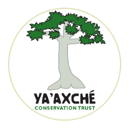 Ya'axché Conservation Trust logo